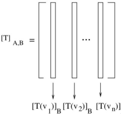 Figura 1: A matriz [T ] A,B , onde A = { v 1 , v 2 , ..., v n } Essa id´eia est´a ilustrada na ﬁgura 1.