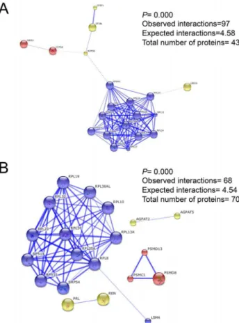 Figure 3. Individual heatmap representation of the transcrip- transcrip-tome analysis