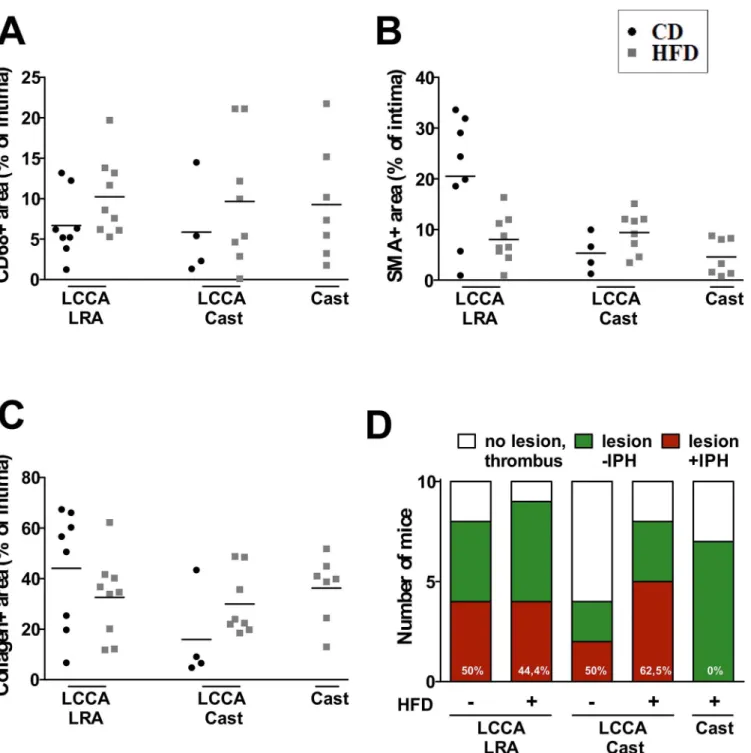 Fig 4. Compositional features of the atherosclerotic lesions. Quantification of (A) macrophage (CD68+ area), (B) vascular smooth muscle cell (SMA + area) and (C) total collagen (picrosirius red+ area) content