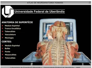 Figura 3.10 - Tela inicial do Atlas de Neuroanatomia Humana 