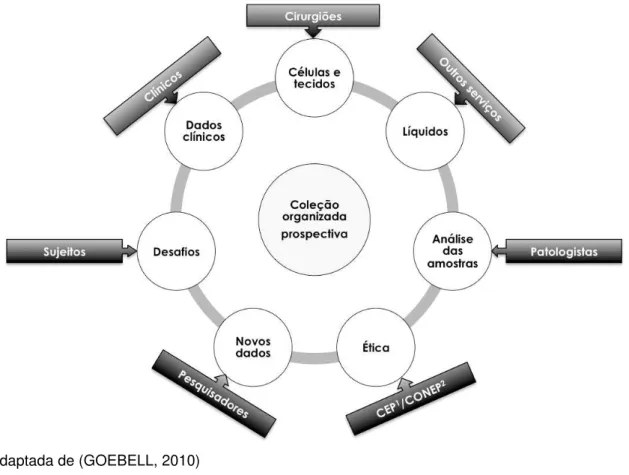 Figura 2 - Ciclo interativo de colaboração interdisciplinar. 
