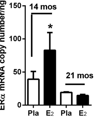 Fig 1. Glomerular ERα mRNA upregulation by 17β-estradiol replacement is lost by anestrous period (21 months of age)