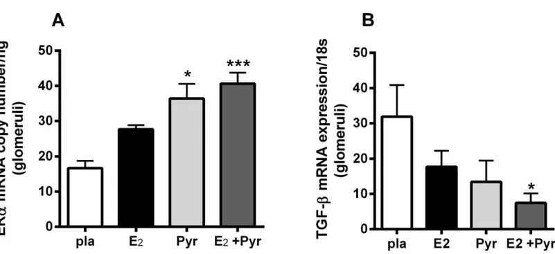 Fig 2. 17β-estradiol (E 2 ) combined with anti-AGE treatment pyridoxamine (Pyr) increases ER and decreases TGF mRNA in glomeruli of aged ovariectomized female mice