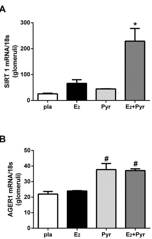 Fig 4. Glomerular AGER1 and SIRT-1 mRNA are upregulated by reduction of AGEs in vivo. Glomeruli were isolated from 4 groups of mice; placebo (pla), 17β-estradiol (E 2 ), pyridoxamine (Pyr) or E 2 + Pyr