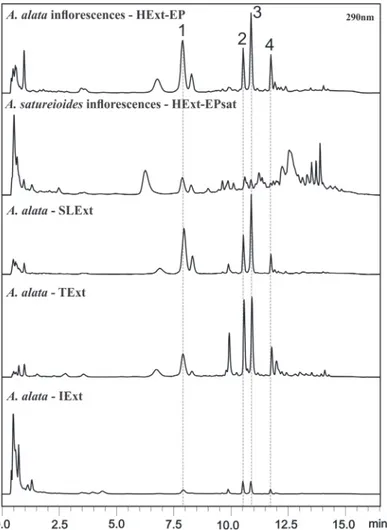 Fig 4. Chromatograms HPLC-DAD of HExt-EP, HExt-EPsat, SLExt, TExt and HExt at 290 nm. The compounds Gnaphaliin, Lepidissipyrone, Helipyrone e Obtusifolin is indicated by the numbers 1, 2, 3 and 4, respectively.