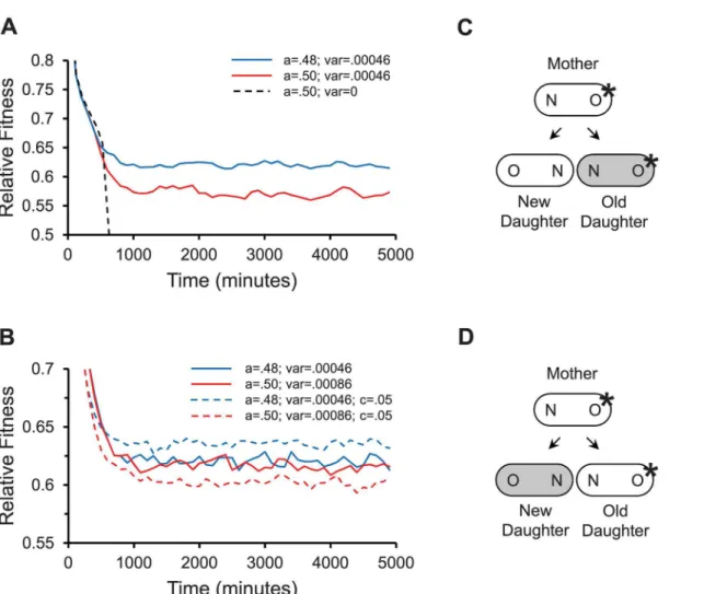 Fig 4. Modeling fitness for damage partitioning in bacteria. Results report relative fitness over time for populations propagated in a computer model as described (Methods)