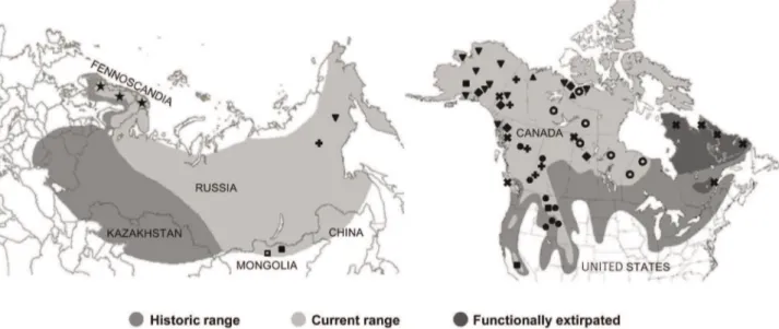 Figure 1. Historic and contemporary Holarctic distribution of wolverines and sampling localities