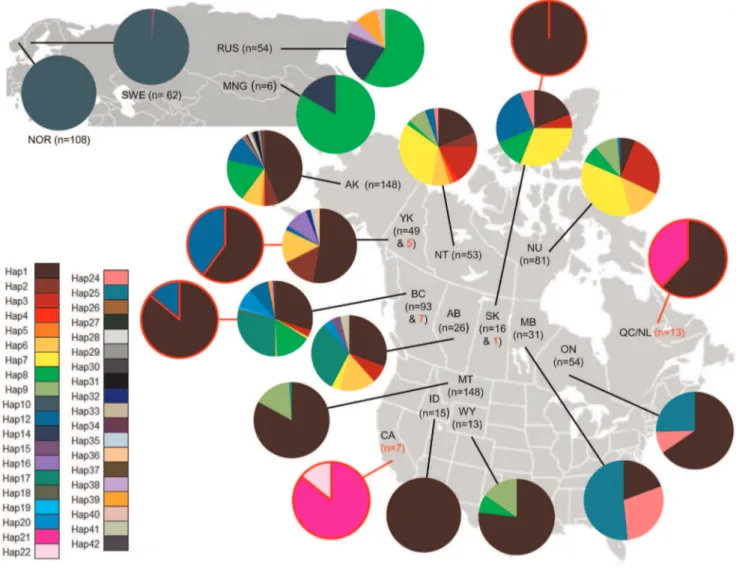 Figure 3. Geographical distribution of mtDNA haplotypes. The geographic distribution of mtDNA control region haplotypes based on frequencies observed for each region