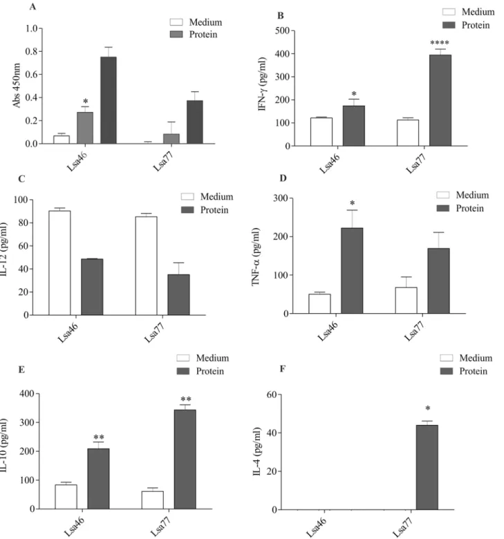 Fig 4. Assessment of mice immune response elicited by Lsa46 and Lsa77. (A) Lymphocytes proliferation in response to mice immunization with recombinant proteins