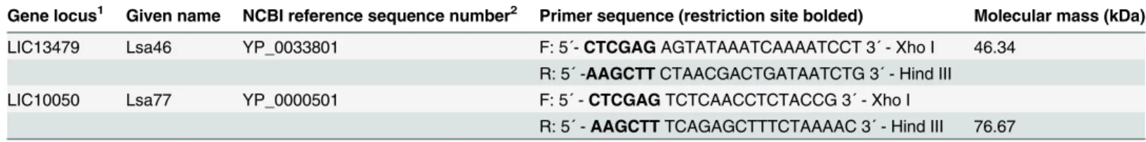 Table 1. Gene locus, given names, NCBI reference sequence number, sequence of the primers used for DNA amplification and molecular mass of expressed recombinant proteins.