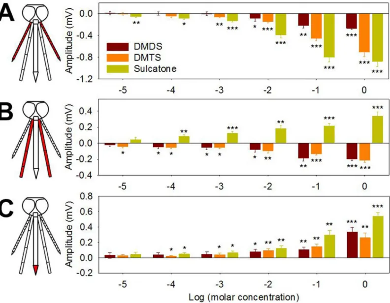 Fig 4. Chemosensory appendages of gravid An. coluzzii electrophysiologically respond to DMDS, DMTS and sulcatone