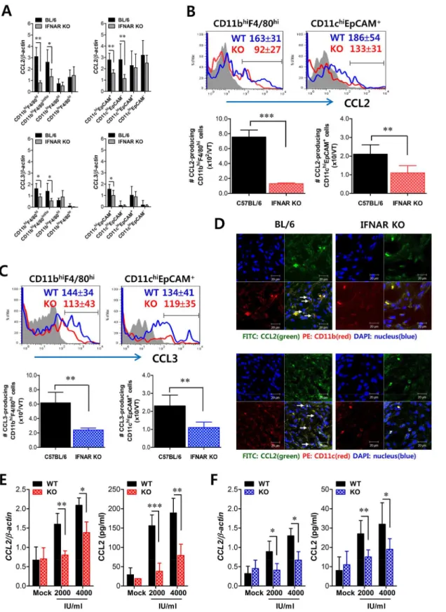 Fig 7. Critical role of IFN-I signaling on resident CD11b hi F4/80 hi macrophages and CD11c hi EpCAM + DCs in the production of initial CCL2 protein for early migration of CD11b + Ly-6C hi monocytes