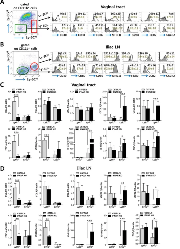 Fig 2. Differentiation levels and cytokine expression profile of infiltrated CD11b + Ly-6C hi and CD11b + Ly-6C lo monocytes in vaginal tract and iliac LN