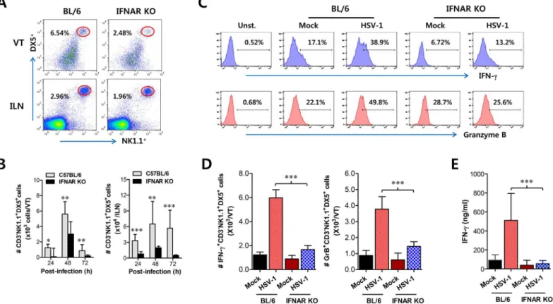 Fig 3. IFN-I signaling is involved in connected recruitment and activation of NK cells to CD11b + Ly-6C hi monocytes