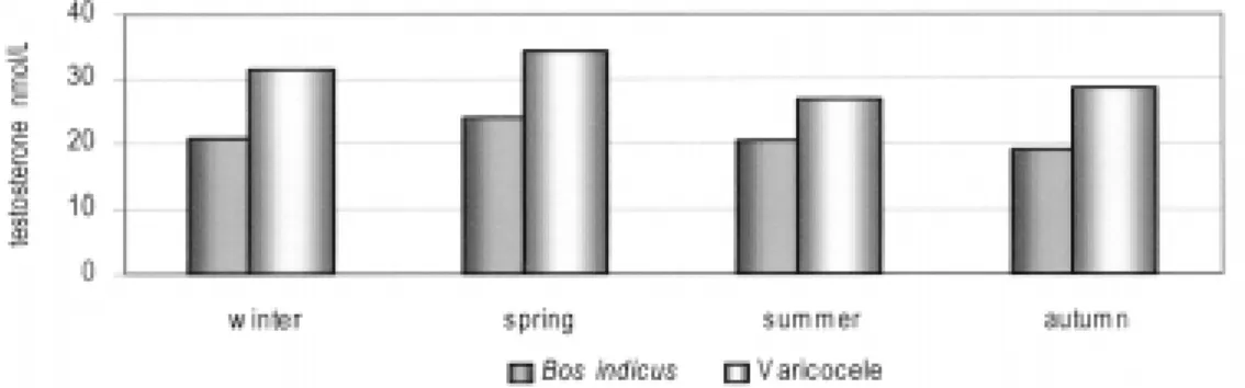 Figure 1. Monthly variation in testosterone concentration (nmol/L) between the bull with varicocele and other’s Bos indicus during a 2 years period