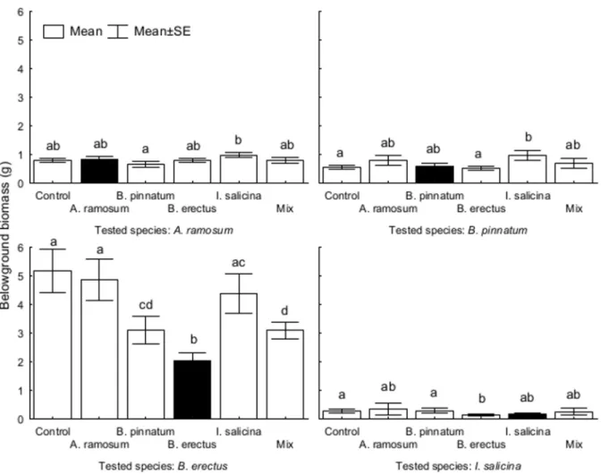 Fig 7. The effects of soil conditioning by each dominant species on plant belowground biomass of different dominant species in the feedback experiment