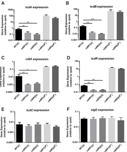 Fig 4. Transcriptional analysis of M7404 cdtR mutant and complemented strains compared to wild- wild-type