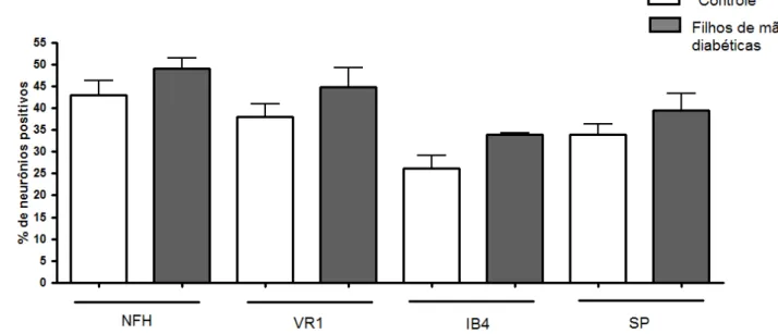 Figura  5:  Porcentagem  de  neurônios  positivos  para  cada  marcação  fluorescente  (NFH,  VR1,  IB4  e  SP)  em  culturas primárias de gânglios da raiz dorsal de animais recém-nascidos