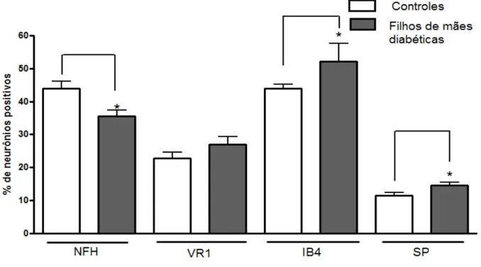 Figura 6: Porcentagem de neurônios positivos para cada marcação fluorescente (NFH, VR1, IB4 e SP) em cortes  congelados de  gânglios da  raiz  dorsal  (L5) de  animais adultos
