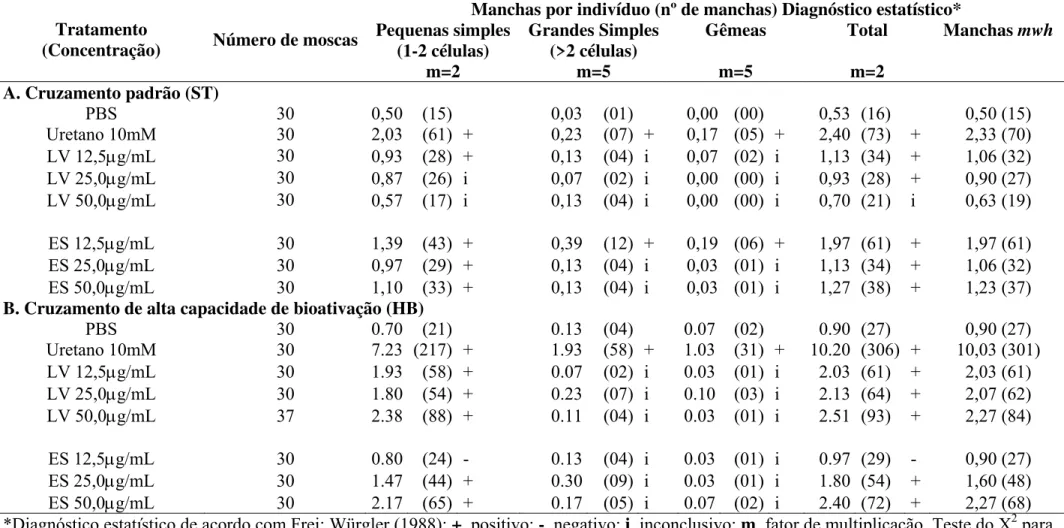 Tabela 1. Freqüências de manchas mutantes observadas nos descendentes trans-heterozigotos marcados (MH) dos cruzamentos ST e HB, após  tratamento crônico das larvas de D