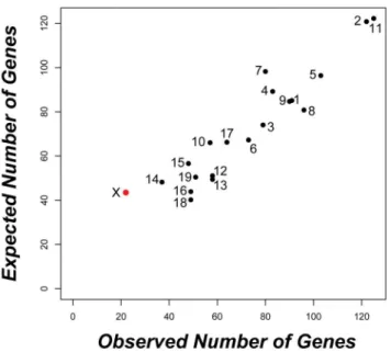 Figure 2. Strong conservation of testis expression on the X chromosome between species