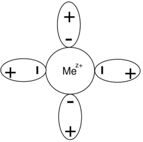 Figura 1 - Representação esquemática de um íon complexo (esquemas ovais: água)                                                             