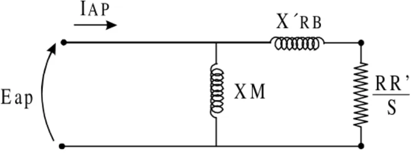 Figura II.3 –Impedância ZAP’