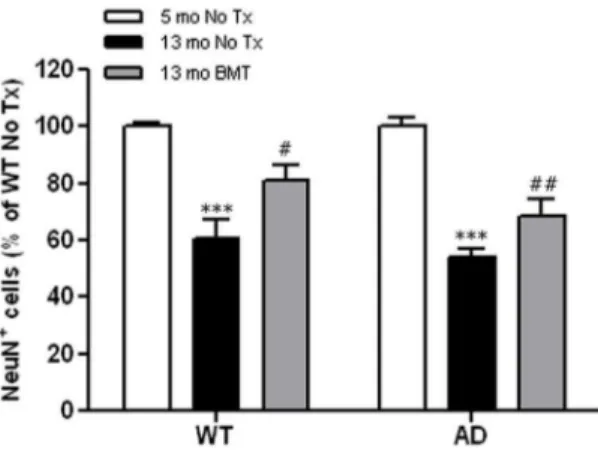 Figure 6. RGCL neuroprotection is not due to effects of high dose cranial irradiation alone