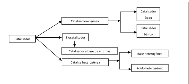 Figura 3 - Tipos de catálise para reação de transesterificação.  