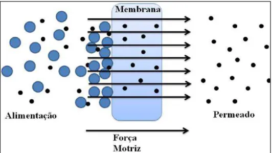 Figura 4 - Separação por membranas  Fonte: adaptado de MULDER, 1996.  