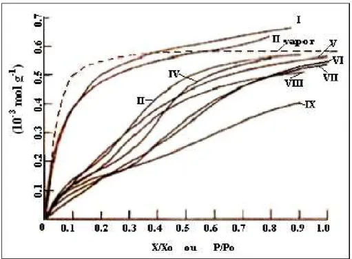 Figura 2.26 - Isotermas individuais para adsorção de Iodo em Graphon a 20 °C, em fase vapor  (linha pontilhada) e em solução de: I, acetato de etila; II, álcool etílico; III, ciclohexano; IV,  cloreto de n-butila; ; VI, mesitileno; VII, ácido acético; VIII