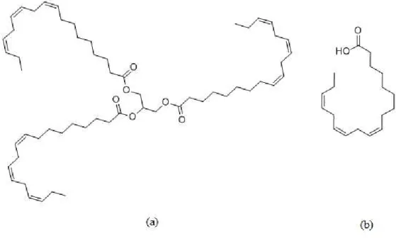 Figura 2.5- Estrutura Molecular da Trilinolenina (a) e do ácido linolênico (b)  Fonte: Banco de dados Chemical Book (2014) 