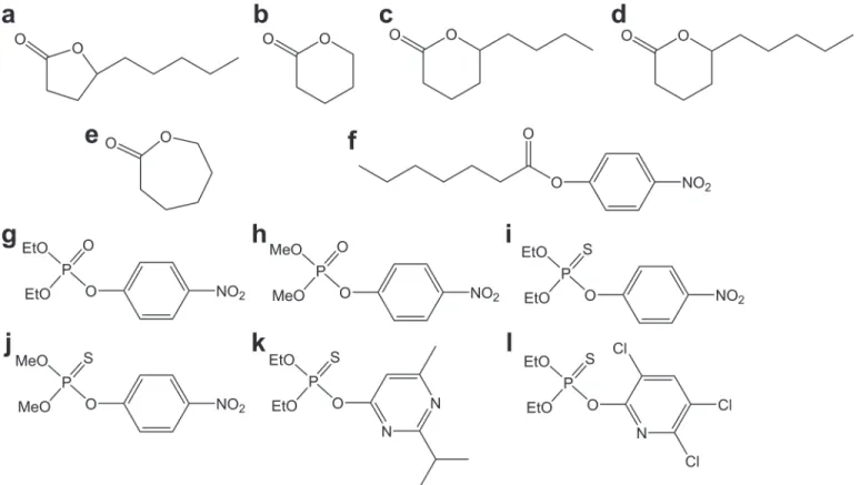 Fig 2. Structures of the substrates used in this study. (a) γ-hexyl-γ-butyrolactone; (b) δ-valerolactone; (c) δ-nonalactone; (d) δ-decanolactone; (e) ε- ε-caprolactone; (f) p-nitrophenyl caprylate; (g) ethyl-paraoxon; (h) methyl-paraoxon; (i) ethyl-parathi