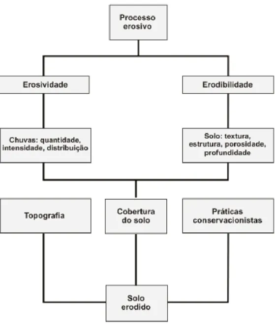 Fig. 02 – Descrição diagramática do processo erosivo, segundo Ramos (1982, apud, Prochnow 1990)