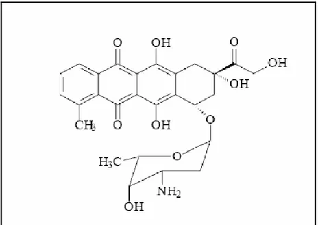 Figura 3- Estrutura química da Doxorrubicina. 