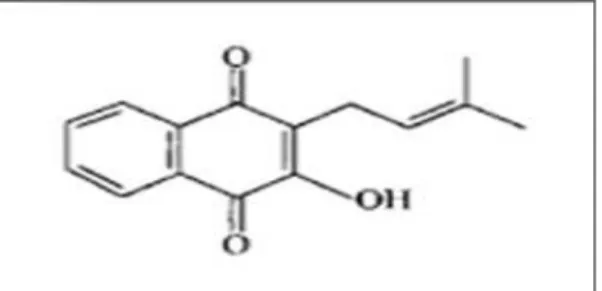 Figura 2- Estrutura química do Lapachol. Fonte: Da SILVA et al., 2002. 