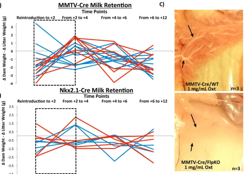Fig 4. Peg3 conditional knockout dams: milk letdown. Milk retention at 10 dpp of MMTV-driven (a) and Nkx2.1-driven (b) deletions in Peg3 are shown as a function of the weight change between every two hours in the dam subtracted by the weight change between