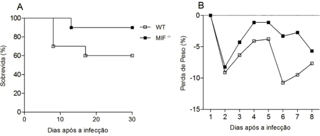 Figura 3. Deficiência em MIF aumenta a resistência do hospedeiro contra a infecção por  Neospora  caninum