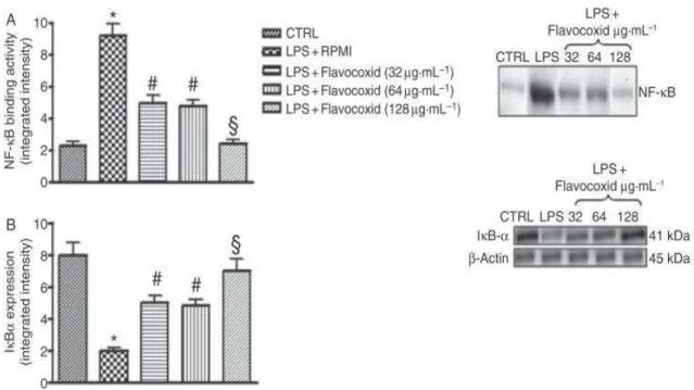 Figure 5. Electrophoretic mobility shift assay (EMSA) of NFB binding activity in the nucleus  (A)  and  Western  blot  analysis  of  I Bα  proteins  levels  (B)  in  the  cytoplasm  of  macrophages  stimulated  for  1  h  with  1  µg/mL  of  LPS  or  its