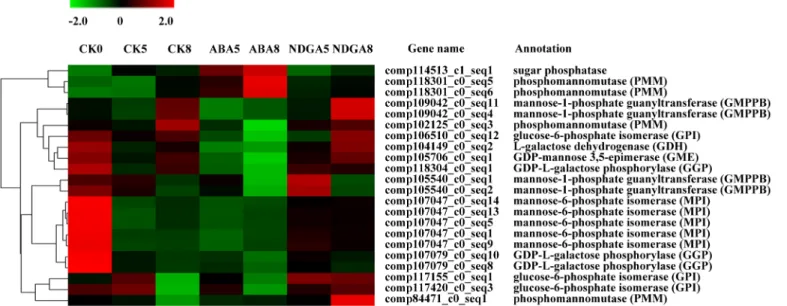 Fig 5. Differentially expressed genes involved in the ascorbic acid biosynthesis pathway