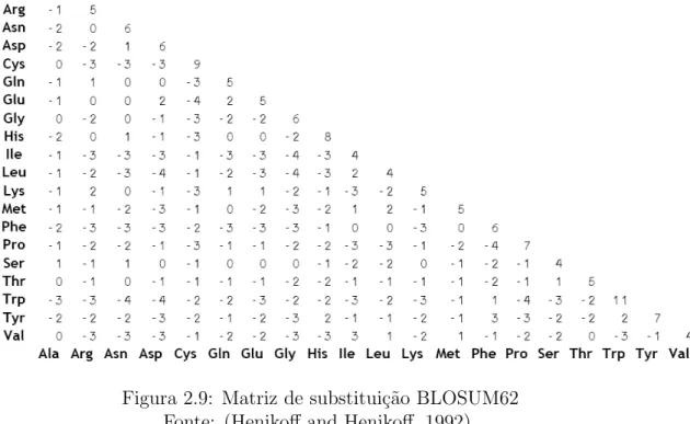 Figura 2.9: Matriz de substitui¸c˜ao BLOSUM62 Fonte: (Henikoﬀ and Henikoﬀ, 1992)