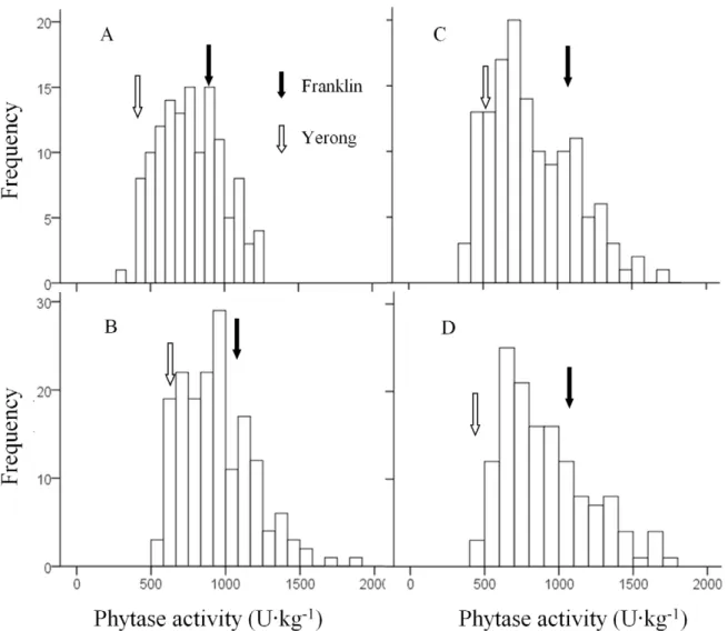 Figure 2. Frequency distribution for phytase activity in a DH population of Yerong/Franklin