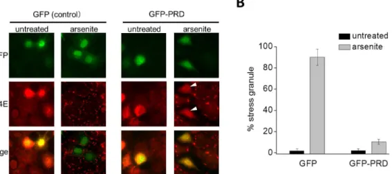 Fig 2. TIA-1 is required for the assembly of SG. (A) GFP alone or GFP-PRD was transiently transfected into COS-7 cells as indicated