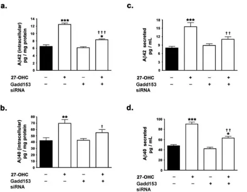 Figure 6. 27-OHC increases the activation of NF-kB via the phosphorylation of IKKa/b which is dependent on gadd153 expression.