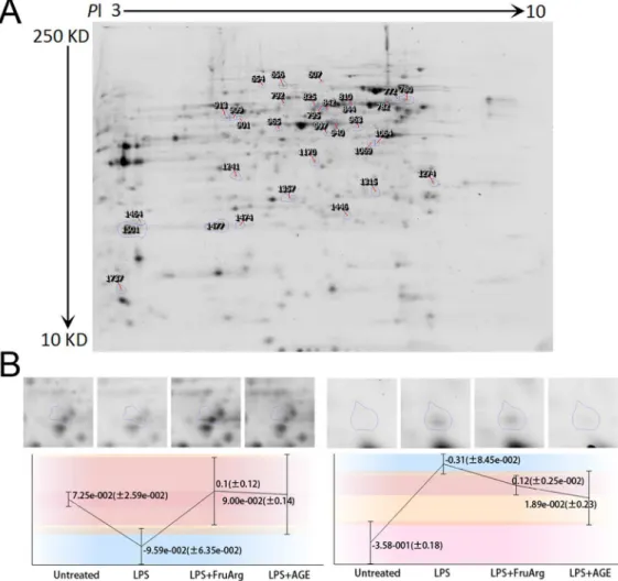 Figure 4. Differential spots detection by the SameSpots software. A total of 1,925 protein spots on the 24-cm 2D-DIGE gels were detected using SameSpots analysis