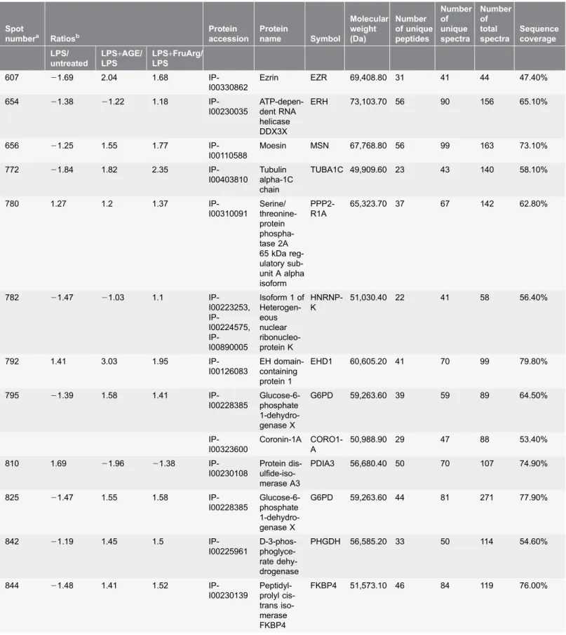 Table 1. List of the differentially expressed proteins identified by 2D-DIGE and LC-MS/MS analysis