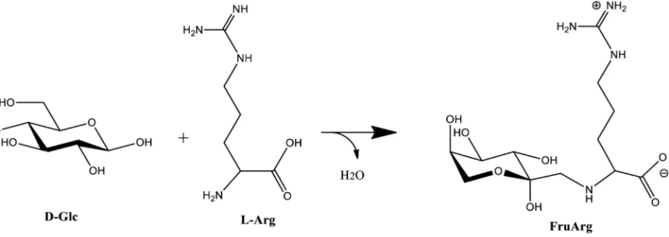 Figure 1. Structure and chemical reaction of FruArg. Condensation reaction between D-glucose and L-arginine, followed by the Amadori rearrangement, yields FruArg