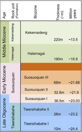 Figure 2. A summary of stratigraphic positions and age estimates for major mammal assemblages of Tieersihabahe Section in the northern Junggar Basin, China.