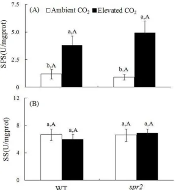 Figure 3. Activity of sugar transport enzymes in leaves of two tomato genotypes grown under ambient and elevated CO 2 without H