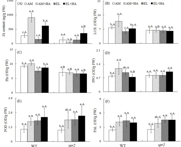 Figure 4. Chemical defensive components in two tomato genotypes grown under ambient (AM) and elevated CO 2 (EL) without and with H